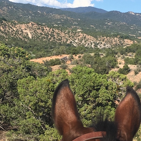 Riding forever! - Picture 2 of 7